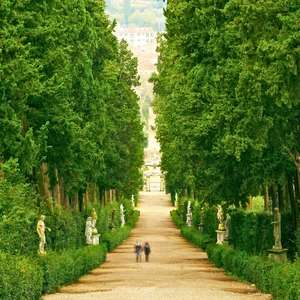 Sali sul bus scoperto a Firenze, Italia – Scopri monumenti, attrazioni e luoghi nascosti con il tour hop-on hop-off nel 2025